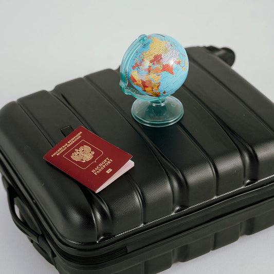 2025 The Top 5 Brands for Luggage