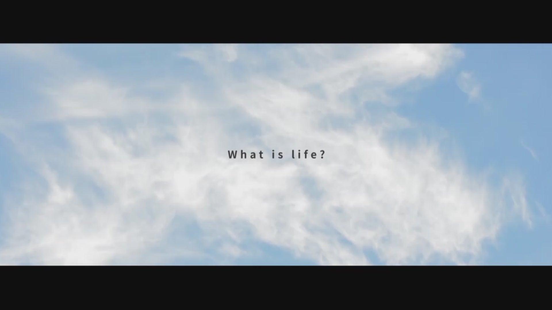 動画を読み込む: 